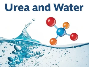 urea and water