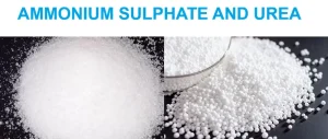 Ammonium sulfate and urea