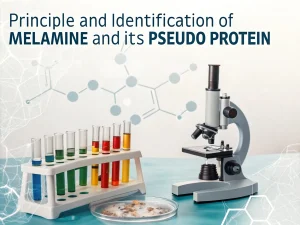 Principle and identification of melamine and its pseudo protein