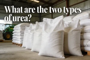 What are the two types of urea?