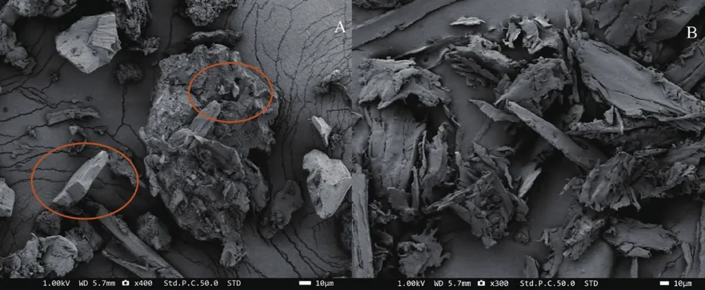 Electron microscopy images of dust samples