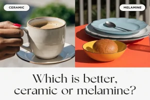 Which Is Better-Ceramic or Melamine?